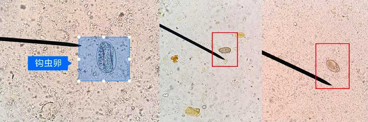 1607909649543932tvsC.png 1607909649543932tvsC.png