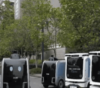 1607909650464049vjka.gif 小1.GIF